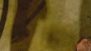 Naughty ftm pup pees on floor
