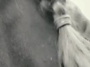 Halloween Week: Black and White Piss At A Restaurant 5/16