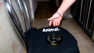 My home cumshot in a bowl