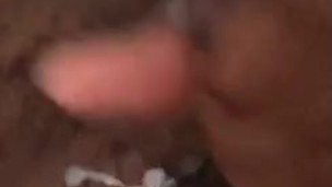 Quick Nut 