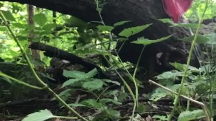 ARAB GIRL PUBLIC PISSING IN FOREST 