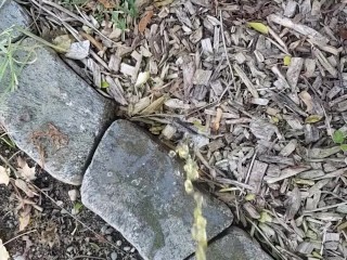 Yellow Goodmorning Piss Outside