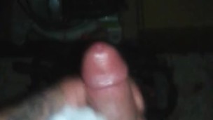 White cock