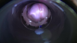 Inside Daddy's cum dumpster as he shoots a loud moaning orgasm