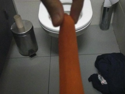 Public restroom masturbation with a carrot while people are around