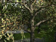 Lancaster Boarding House 16 3/16