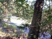 Exposing Tits As Cars Pass! 