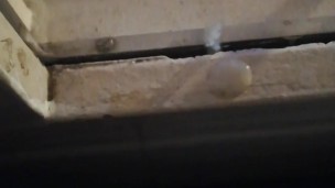 Jerking Off My Big Uncut Cock Public On My Window Till I Cum - Camilo Brown