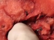 Fisting a Watermelon - Screenshot 15 of 16 - Watermelon