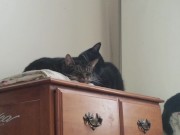 PH export test 3 14/16