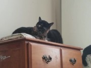 PH export test 3 15/16