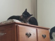 PH export test 3 16/16