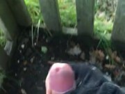 Quick stroke in the forest with an incredible view