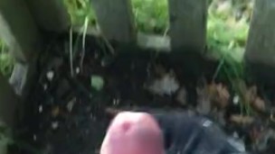Quick stroke in the forest with an incredible view