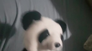 helpfull panda.