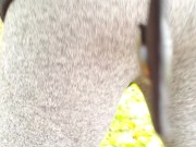 Total Wierdo Artistically Pisses Outdoors 10/16