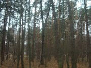 милфы гуляют в осеннем лесу, красивый минет, сперма в рот - Screenshot 4 of 16 - Forest Walk