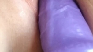 Perfect Day for Pussy Play