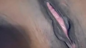 Plum pussy view