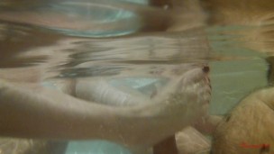 underwater footjob and cumshot HD perfect soles sexy toes red nails