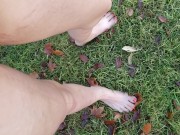 Long Morning Piss Outside In Grass