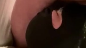 Straight alpha back to gag the fag - Part Three