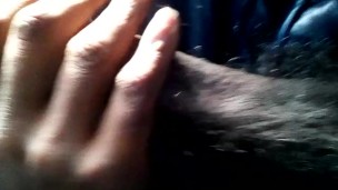 jerking in cat masterbation