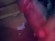Paja dotado 