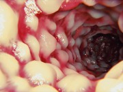 Black Widow Vore 14/16