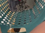 naughty pissing in the laundry basket