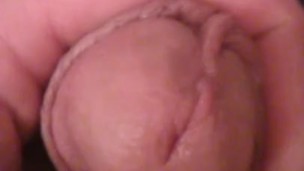 POV Fingerbanging My Asshole While Pissing on My Toilet