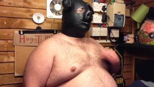 oinkin pig clip