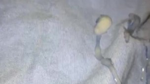 Caught masturbating while cumming