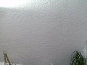 V 339 Oh no I squished Ben, hes all smushed!! 15/16