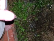 Quick Piss Outside - Screenshot 14 of 16 - Outside