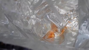 Black Teen Cums in a Bag of Chips - Thanksgiving