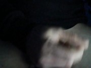 Torello italiano  6/16