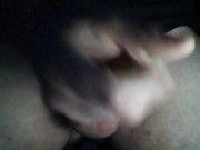 Torello italiano  8/16