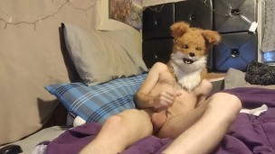 Happy danksgiving from me in my fox mask. 