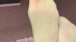 Teen socks up close after class ASMR
