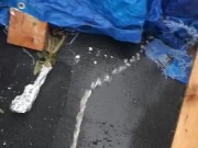 Walking Piss in Nice Clothes - Screenshot 9 of 16 - Pee