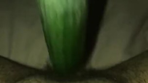 Cucumber fun in the pussy 