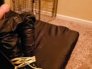 Bbw Dominatrix with bitch boy 8/16