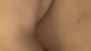 Boobies