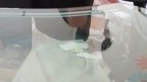 Me gusta que me graben mientras hago aseo como la sirvienta que soy