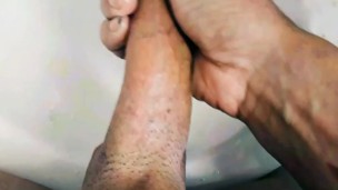 Pau grande E Lindo