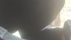 Preview for farting around my neighbors yard