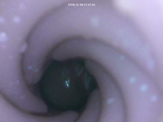 View From Inside Fleshlite During Creampie