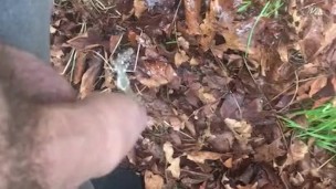 Pissing in public outdoors