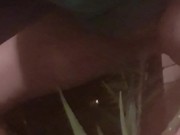 Peeing Outdoors In  Plant
